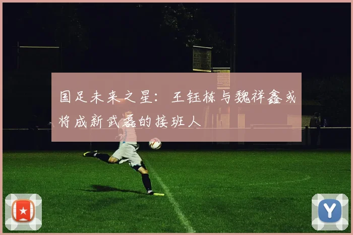 国足未来之星：王钰栋与魏祥鑫或将成新武磊的接班人