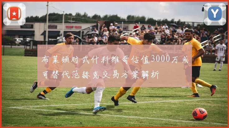 布莱顿对武什科维奇估值3000万或可替代范赫克交易方案解析