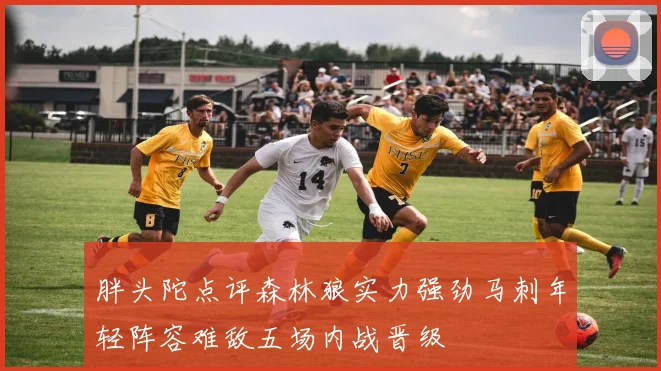 胖头陀点评森林狼实力强劲马刺年轻阵容难敌五场内战晋级