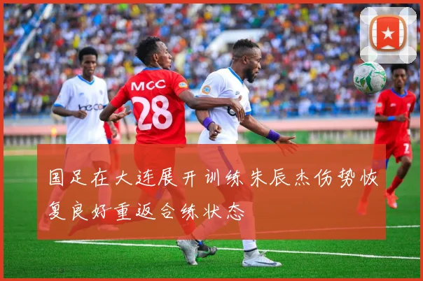 国足在大连展开训练朱辰杰伤势恢复良好重返合练状态