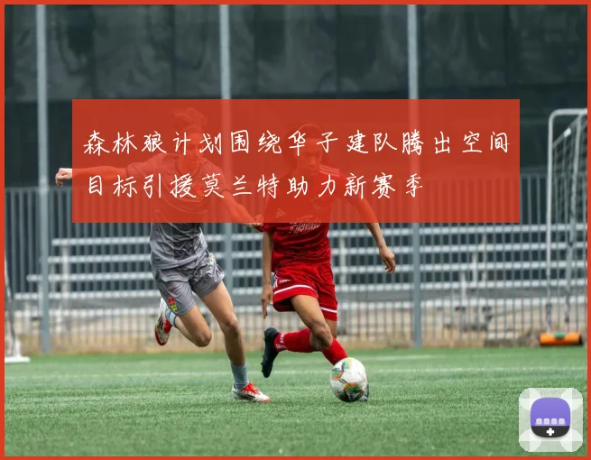 森林狼计划围绕华子建队腾出空间目标引援莫兰特助力新赛季
